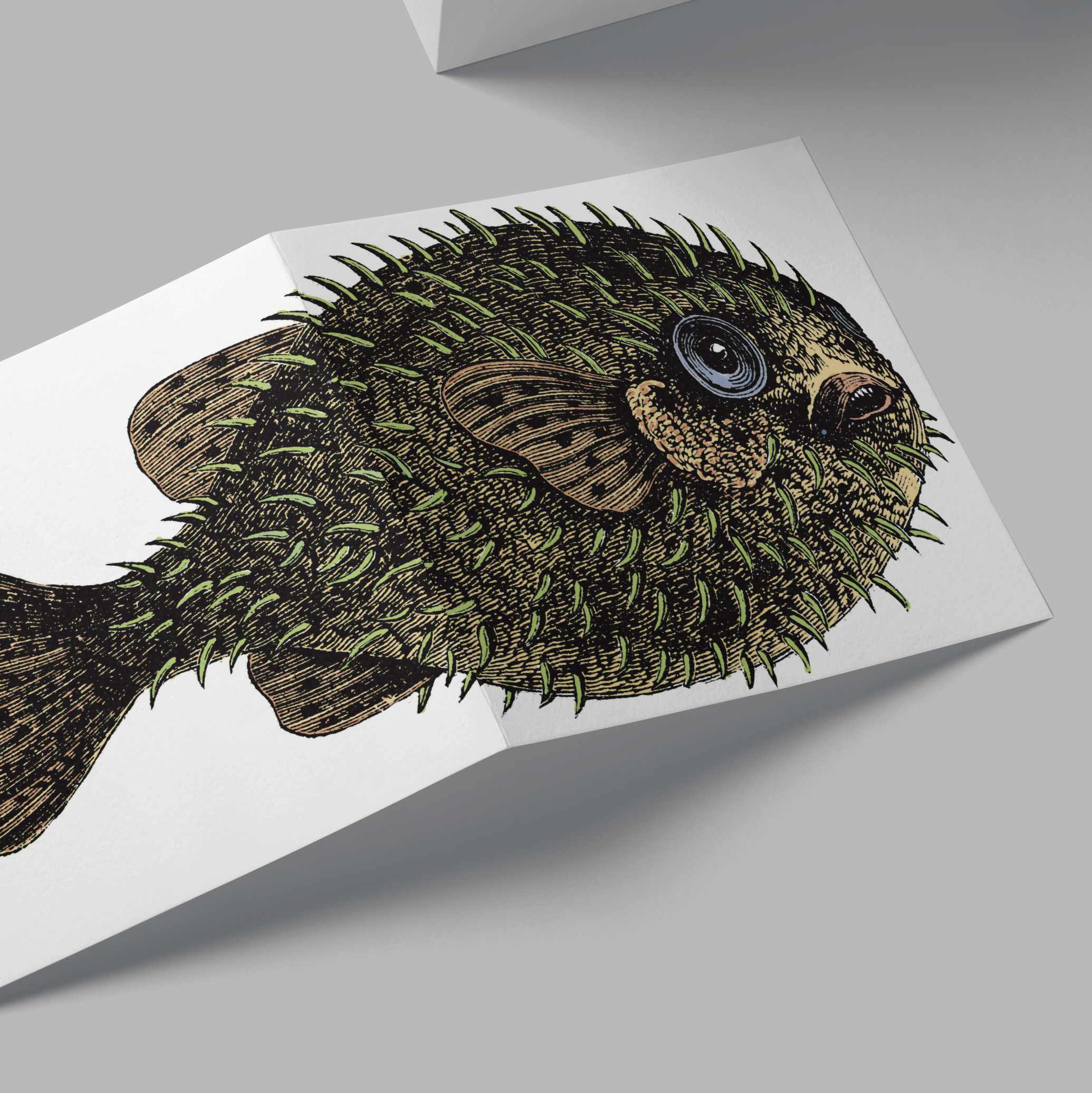 Puffer Fish Card